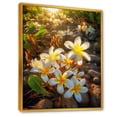 thumbnail image 2 of Designart "Sunrise Glory In Plumeria Field I" Plumeria Floater Framed Wall Art Living Room, 2 of 5
