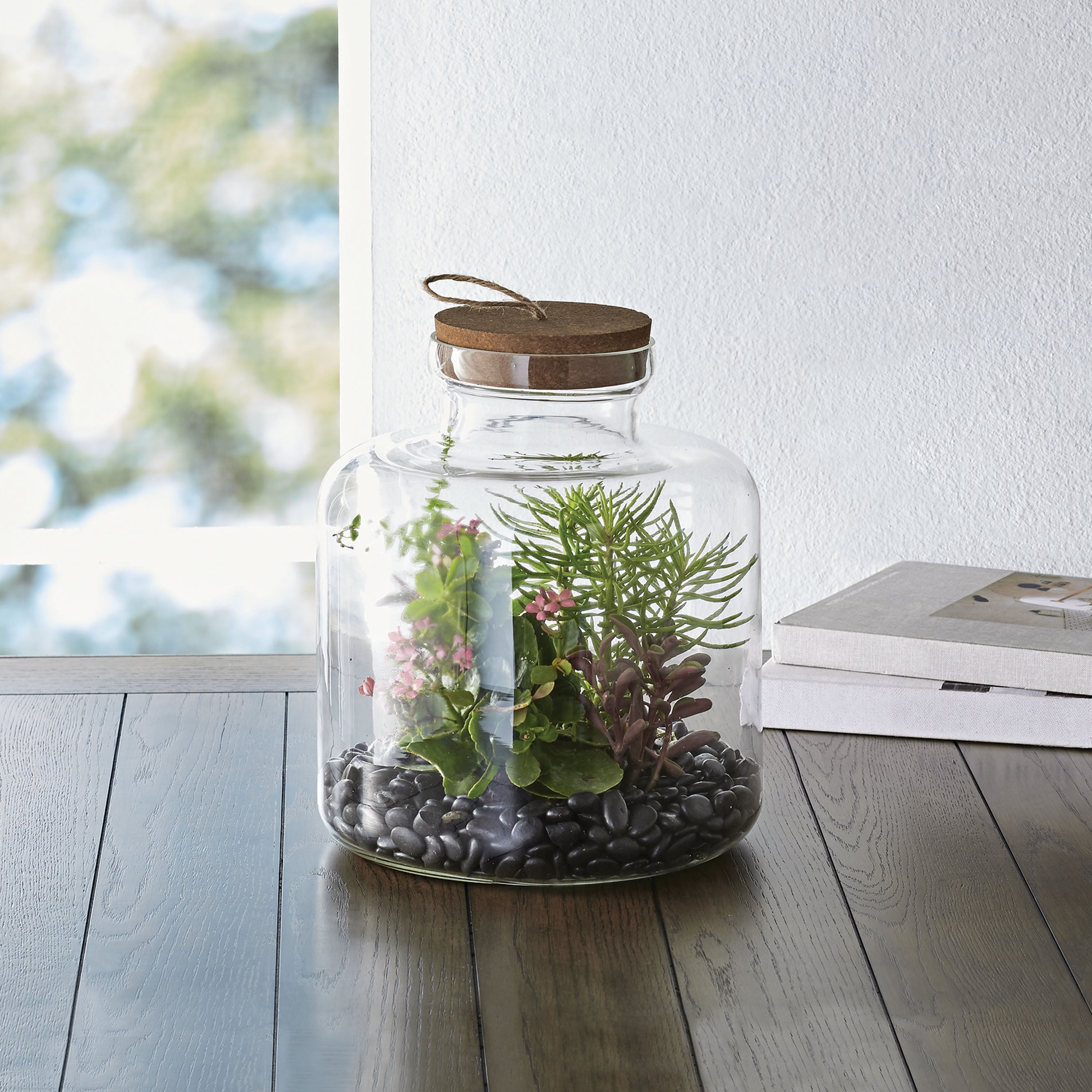 Better Homes & Gardens Medium Clear Glass Terrarium, 10 x 10 x 12 in - Walmart.com