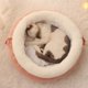 thumbnail image 4 of Invierno Cálido Mascota Perro Gato Cama Perrera Redonda Gato Perro Estera Antideslizante Suave Cachorro Cojín Estera Portátil Suministros Para Mascotas Cateissary PT002561-01, 4 of 6
