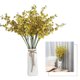 thumbnail image 2 of Orquídea de Baile del Pavo Real Amarilla: Decoración Zen para Hogar con Maceta de Plástico, Ideal para Ambientes Tranquilos y Elegantes., 2 of 6