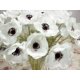 thumbnail image 2 of 10 uds. Artificial Touch Real Pu Anemone Flower Bouquet Room Decoration (blanco) kaili Sencillez, 2 of 2