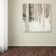 thumbnail image 3 of Trademark Fine Art 'Warm Winter Light II' Canvas Art by Julia Purinton, 3 of 3