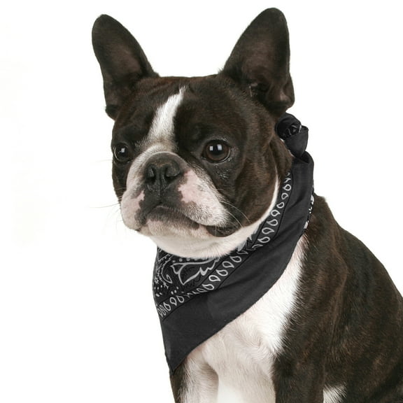 Mechaly Pack of 8 Paisley Cotton Dog Bandana Triangle Shape - Fits Most Pets