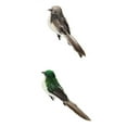 thumbnail image 1 of Escultura de jardín,Adorno de césped, de pájaros,pájaro artificial, de jardín,jardín de hadas, 1 of 4