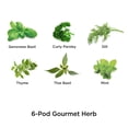 thumbnail image 3 of Kit de capsules de semences Fines herbes AeroGarden (6 capsules), 3 of 5