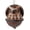 A04 | Owl in Acorn Shell, variant on romoty 3D Resin Owl Christmas Tree Ornament, Sleeping Woodland Animal in Acorn Hanging Figurine for Holiday Home Decor