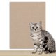 thumbnail image 1 of ¡Tapete de arañado para gatos DIY para sofá: Instalación fácil, reutilizable y protector de muebles!, 1 of 11