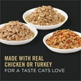 thumbnail image 3 of Purina Pro Plan Complete Essentials, Chicken & Turkey Variety Pack, Wet Cat Food, 3 oz Cans, 3 of 11