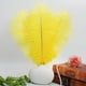 thumbnail image 4 of Xiao Hua 12 plumas de avestruz amarillas naturales a granel de 40 a 45 cm para centros de mesa de bodas, fiestas, Pascua, Gatsby y decoración del hogar., 4 of 5