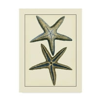 Trademark Fine Art 'Antique Blue Starfish I' Canvas Art by Vision Studio