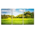 thumbnail image 2 of wall26 - 3 Piece Canvas Wall Art - Green Field with Trees and Blue Sky. Nature Landscape in Summer - Modern Home Art Stretched and Framed Ready to Hang - 16"x24"x3 Panels, 2 of 4