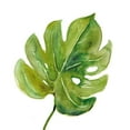 thumbnail image 2 of Robinson, Carol 20x20 White Modern Wood Framed Museum Art Print Titled - Tropical Frond I, 2 of 4
