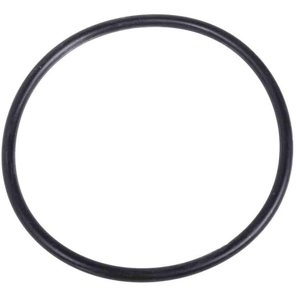 ACDelco GM Genuine Parts Front Wheel Bearing Seal (O-Ring) 290-300