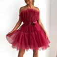 thumbnail image 1 of Robe en Tulle Sans Manches pour Femmes Robe Courte en Maille Unie Princesse Robe de Soirée, 1 of 5