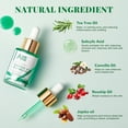 thumbnail image 2 of ANAiRUi Tea Tree Oil with Salicylic Acid, Purifying Facial Oil for Blemish Prone Skin, Care for Face and Back, 1 fl oz, 2 of 9
