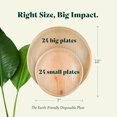 Premium Palm Leaf Plates Strong & EcoFriendly Disposable Bamboo