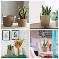 thumbnail image 3 of unbranded Maceta Tejida Para Plantas De Interior Con Y Asa De Transporte, 3 of 7