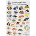thumbnail image 2 of Aqua Western Pacific - Indonesia and Adjacent Waters, Fish Card, 2 of 2