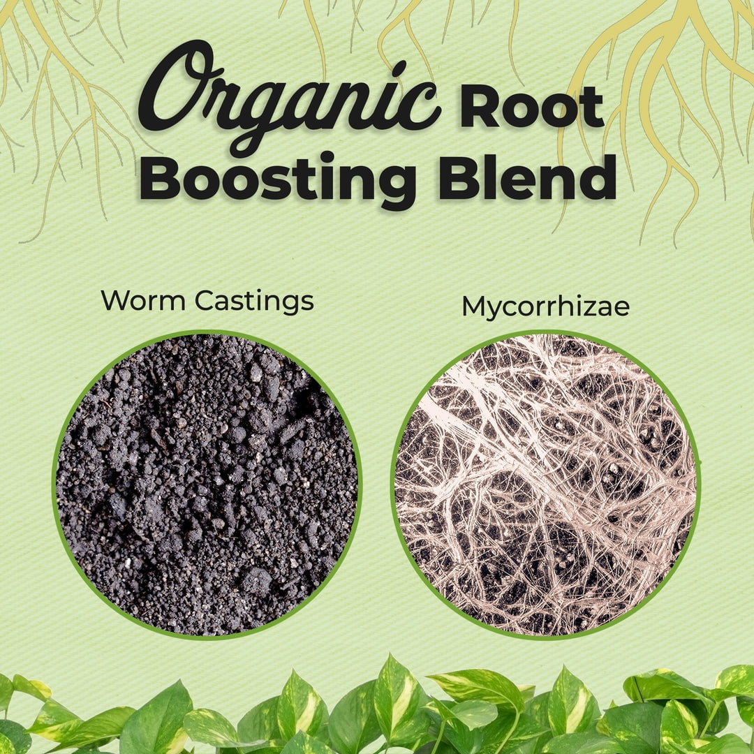 Organic Aroid Potting Mix in 8qt. Bag - Chunky Soil For Indoor House Plants