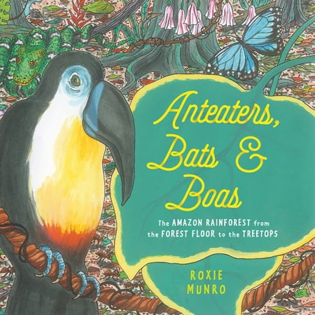 Anteaters, Bats & Boas : The Amazon Rainforest from the Forest Floor to the Treetops (Paperback)