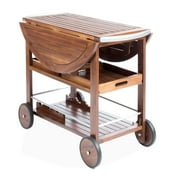 Rayan Outdoor Dark Oak Acacia Wood Bar Cart with Shiny Powder Coated Aluminum Accents