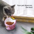 thumbnail image 5 of Raised Cat Food Bowl, Ceramic Elevated Cat Feeder Bowl, Anti Vomiting, Backflow Prevention, 5 of 5