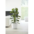 thumbnail image 4 of Ecopots Oslo Durable Modern Round Indoor/Outdoor Recycled Based Composite Flower Pot Planter, Pure White, 14", 4 of 4