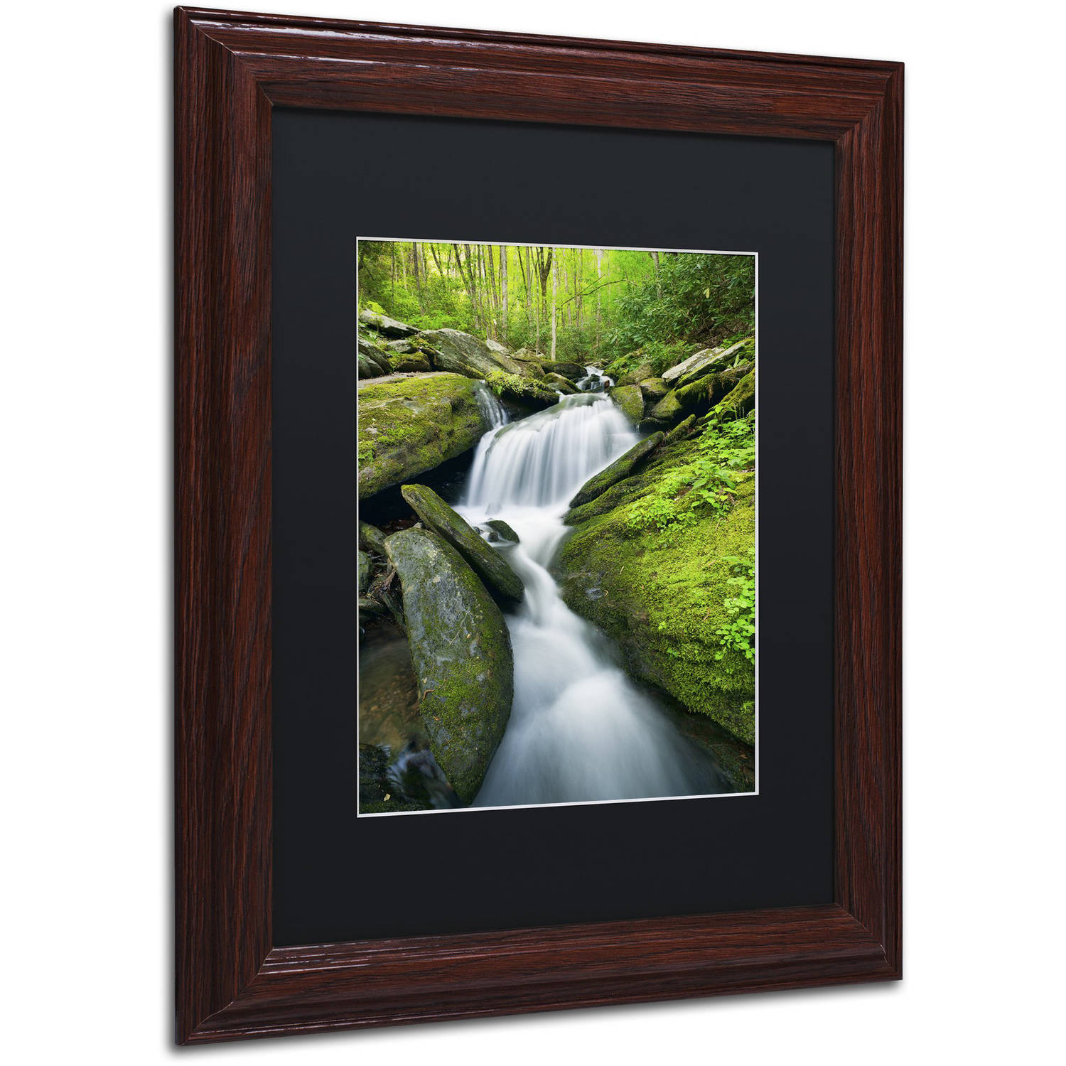 Trademark Fine Art 'Cascade Mossy Rocks' Canvas Art by Michael Blanchette Photography, Black Matte, Wood Frame