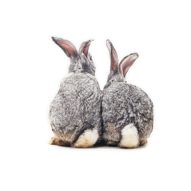 1 Uds. Pegatina de dos conejitos bonitos conejos 3D pegatina extraíble para pared decoración del ho yeacher Largo