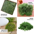 thumbnail image 4 of Efavormart 50g/Bag Green Preserved Natural Reindeer Moss Wedding Decoration Birthday Party Arrangement, 4 of 10