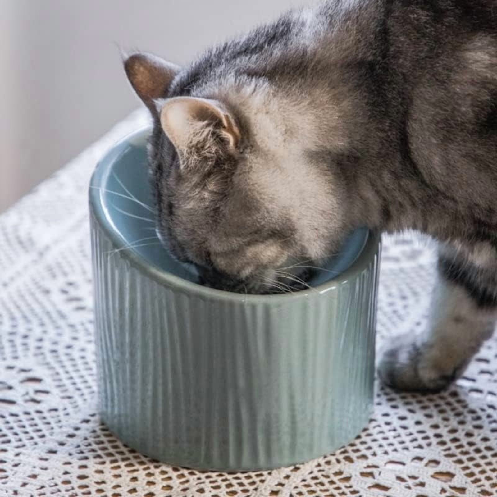 Pet Food Dispenser Pet Ceramic Bowl with Inclined Mouth Elevated Cat Bowl for Dog Cat Indoor Pet Products (Color : 3)