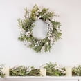 thumbnail image 6 of Northlight Frosted Foliage and Berries Small Artificial Christmas Wreath - 20" - Unlit, 6 of 6
