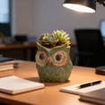 thumbnail image 5 of Decorative Owl Ceramic Figurine, Whimsical Desktop Pot for Small Plants Flowers or Succulent Arrangement, Compact Home Office Living Room Decor, Thoughtful Gift for Family Friends Colleagues, 5 of 7