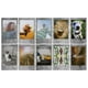 thumbnail image 4 of Película instax Mini FUJIFILM Stone Grey - 10 exposiciones, 4 of 4