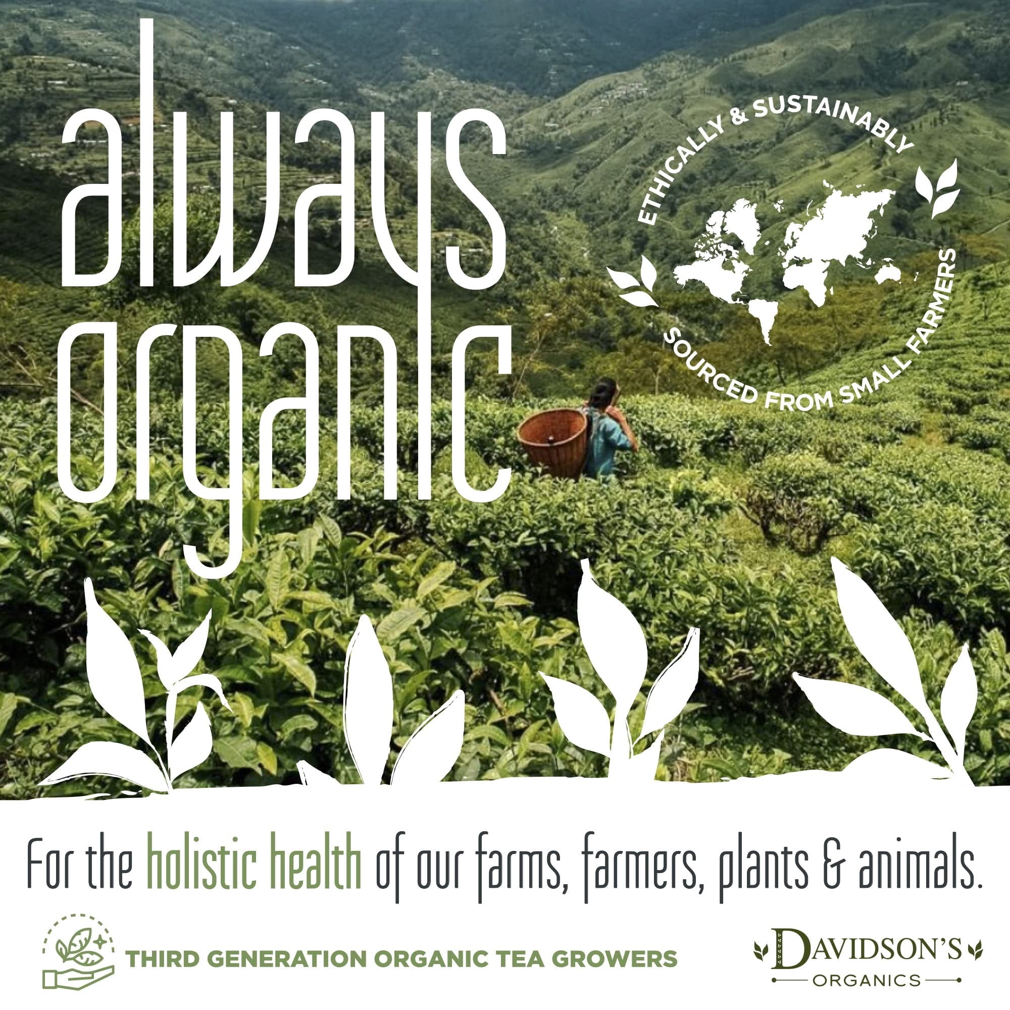 Davidson's Organics, Yerba Mate, Loose Leaf Tea, 16-Ounce Bag