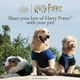 thumbnail image 5 of Juguete para Perro Harry Potter 4 Unidades Pelotas de Tenis Orgullo Hogwarts 6.5 cm, 5 of 5