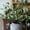 White, variant on Artificial Fruit Snow Berry Leaf Stem 28" Tall Silk Plant