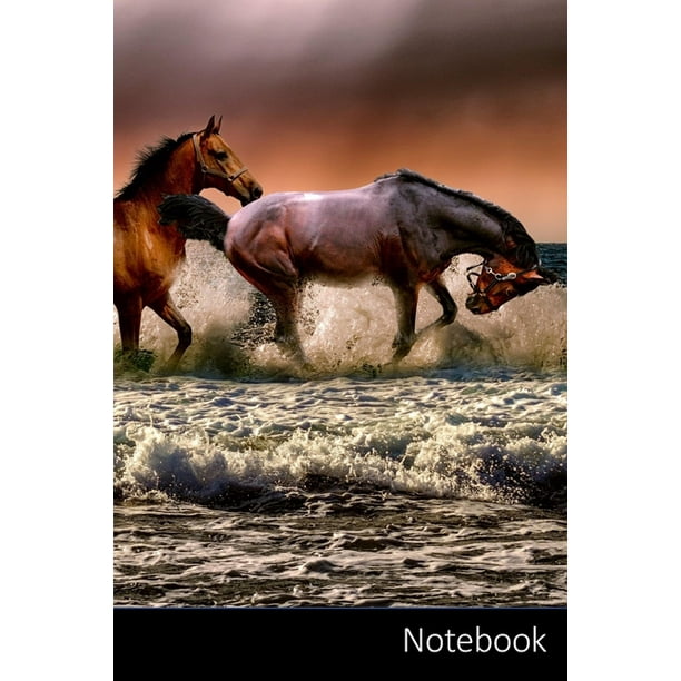 Notebook 215 292 122 122 396 122 124 124 124 124 6 X
