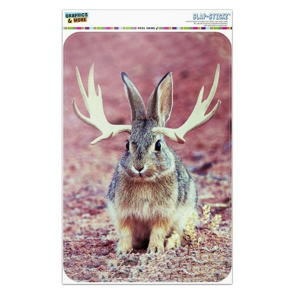 Jackalope Realistic Home Business Office Sign
