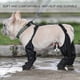 thumbnail image 4 of Suspender Boots for Dogs,Adjustable Dog Pants,Dog Paw Protector for Dogs, 4 of 5