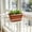 veg planter Under $5 a3, variant on Werulen Retro Outline Rectangular Planter for Balcony Vegetable Growing, Household Windowsill Edible Crop Cultivation Arrangement, Veg Planter, Growing Pot, Home Garden Accessory