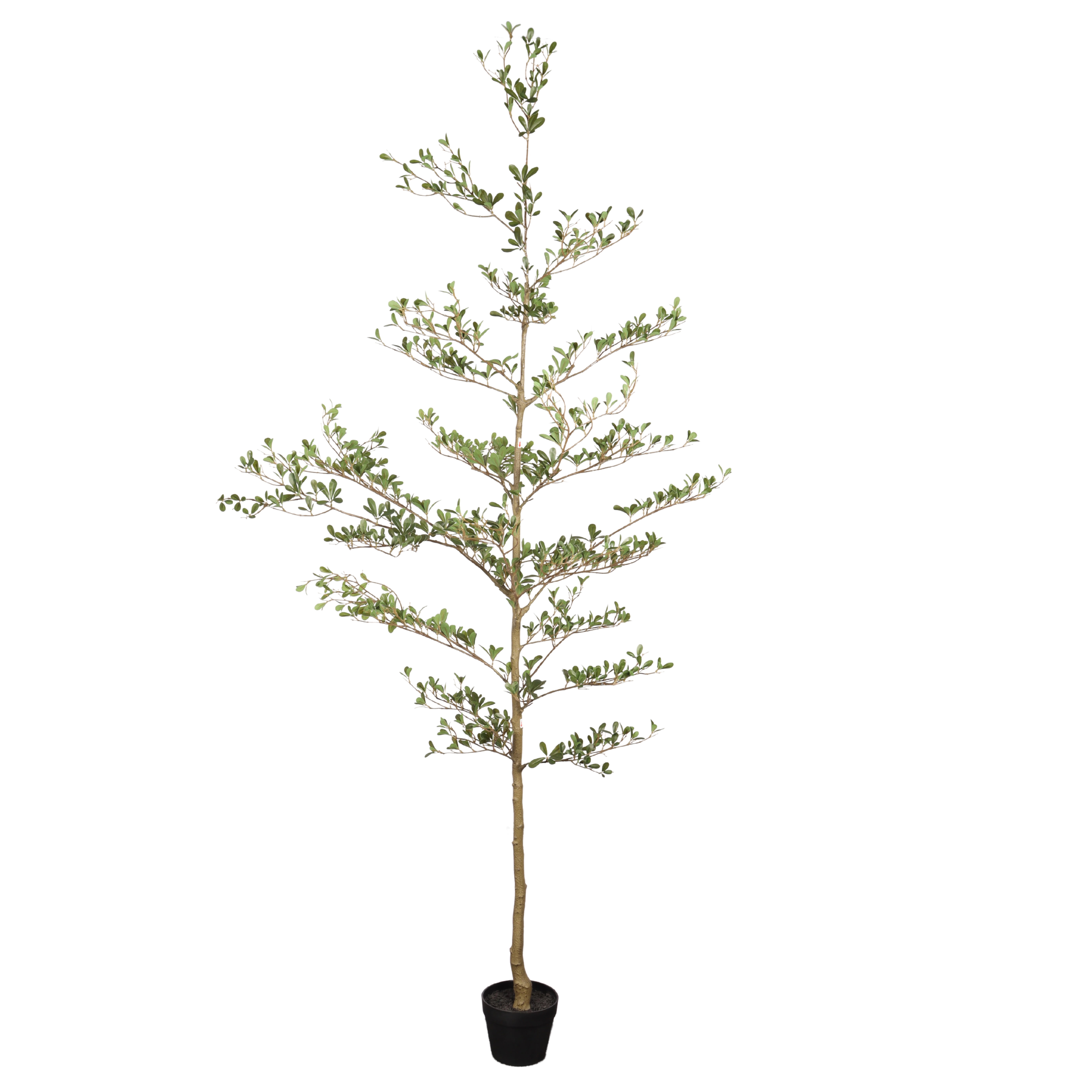 7FT Artificial Olive Tree with Black Plastic Pot,Realistic Tall Fake Plant for Indoor Home Living Room Decor