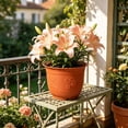 thumbnail image 2 of Hvmvliv Small Plastic Flower Pot for Balcony Windowsill Gardening with Lightweight Design for Succulents Herbs and Foliage Plants, 2 of 6