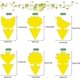 thumbnail image 2 of 60PCS Yellow sticker fungus gnats, yellow trap, fungus gnat, yellow plates, plug-in or hanging, yellow sticker against aphids, thrips, mining flies, f, 2 of 5