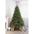 thumbnail image 1 of 6Ft True Nature Beauty Pine Christmas Tree Pre-lit Dual Color LED, 1 of 8