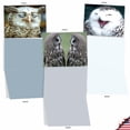 thumbnail image 4 of 10 Assorted All Occasion Blank Note Cards with Envelopes (4 x 5.12 Inch) - WHAT A HOOT M1769BN, 4 of 6