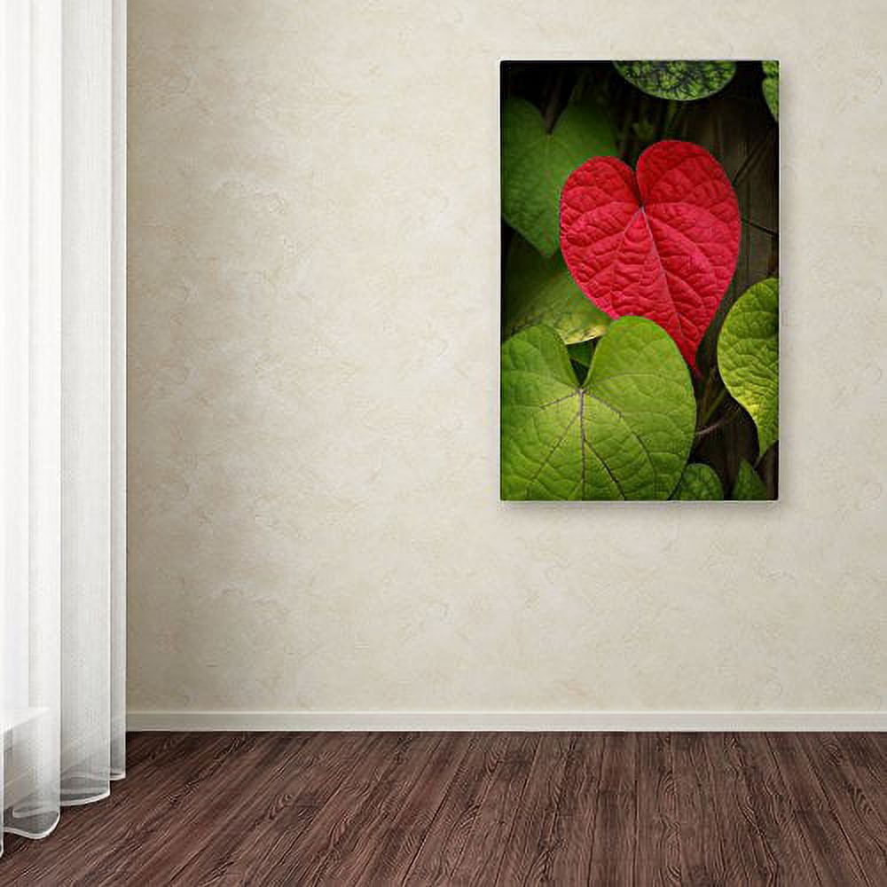 Trademark Fine Art "Heart to Take" Canvas Art by Philippe Sainte-Laudy