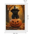 thumbnail image 2 of Diamond Art Kit for Adults, Black Cat Witch Pumpkin Autumn Diamond Painting for Adults Beginners, 5D DIY Diamond Art Painting Kits, Colorful Diamond Painting Craft for Home Decor 12x16, 2 of 7