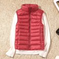 thumbnail image 1 of Chaleco de plumón con cuello levantado, informal, corto y ligero, de otoño e invierno, para mujer, 1 of 6