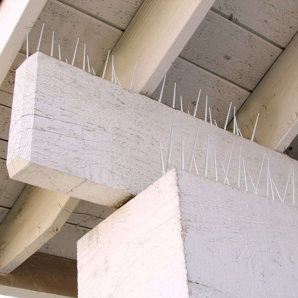 Bird-B-Gone Bird Repelling Spikes Kit For Large Birds, 20 - 1' Clear Plastic Spike Strips